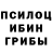 Псилоцибиновые грибы прущие грибы Lizandre