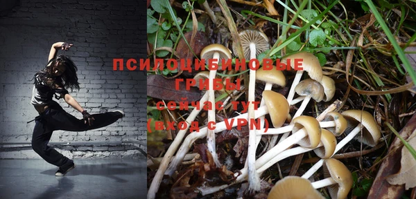 дживик Вязники