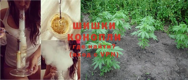 ECSTASY Вяземский