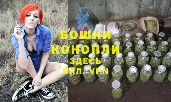 ECSTASY Вяземский
