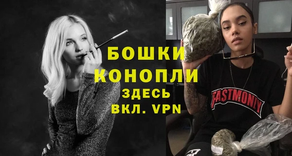 ECSTASY Вяземский