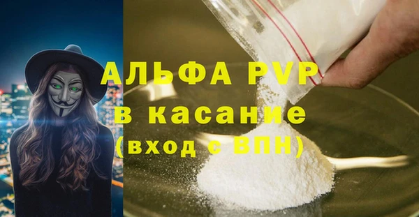 ECSTASY Вяземский