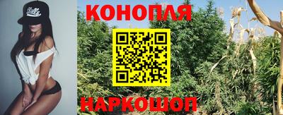 амф Гусь-Хрустальный