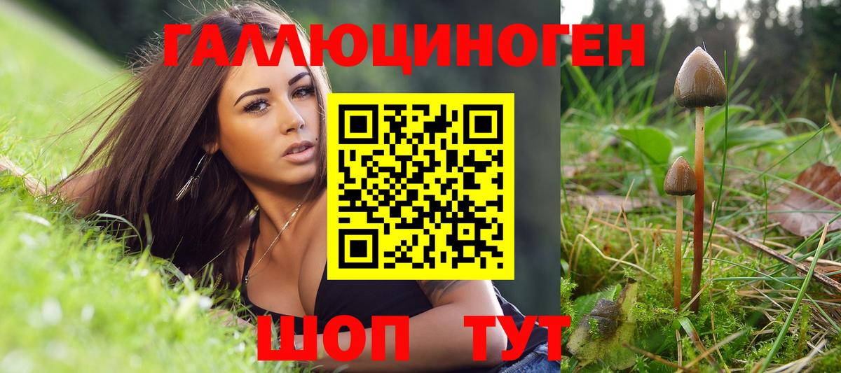 Москва  Псилоцибиновые грибы мицелий  цена наркотик  Вход с VPN 