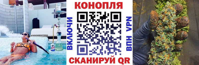 купить наркотики цена  KRAKEN ССЫЛКА  Бошки Шишки планчик  Москва 